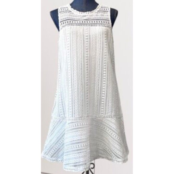 Doe & Rae Dresses & Skirts - Doe & Rae Women’s Sheath~Size Small~ Sleeveless~Lace Overlay~Drop Waist~Lined